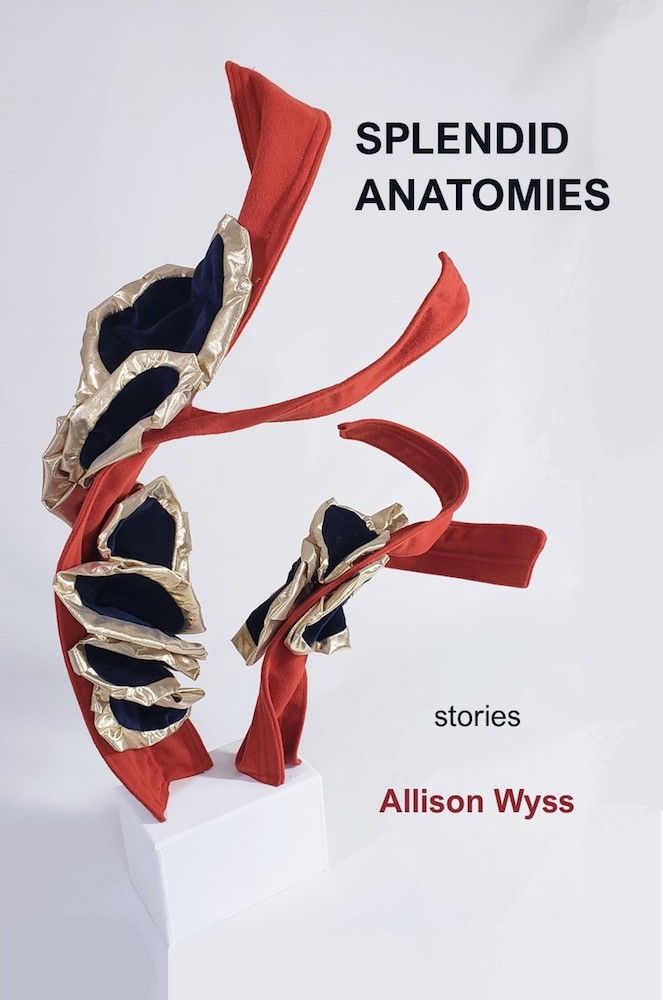 Splendid Anatomies, Stories, By Allison Wyss book cover