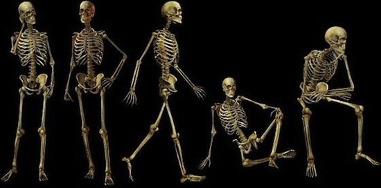 Five skeletons assume various poses (standing, walking, sitting) against a black background.